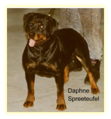 Daphne Spreeteufel